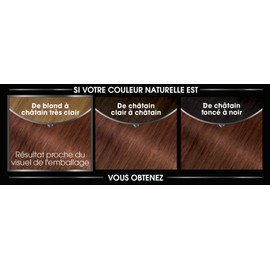 Garnier Permanent Hair Colour Ammonia Free with Natural Flower Oils - Hazelnut (6.35) - Olia