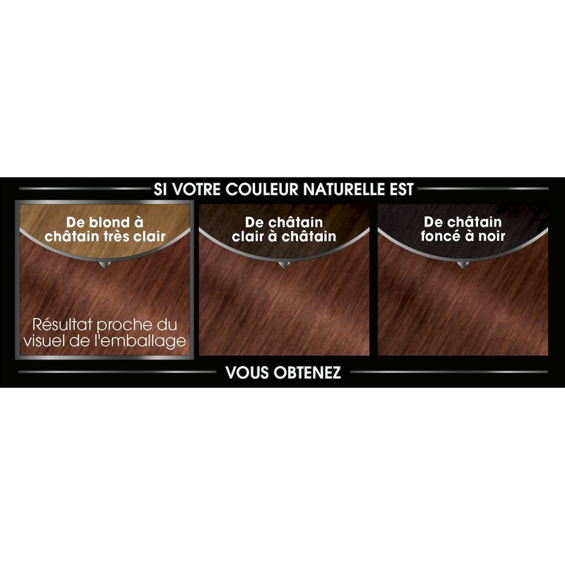 Garnier Permanent Hair Colour Ammonia Free with Natural Flower Oils