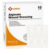 Carbou Calcium Alginate Wound Dressing, 4'' x 4'' Patches,10 Individual
