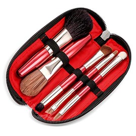 Protable Mini Set de brochas de maquillaje con estuche de viaje, 5 piezas de brochas cosméticas (pelo natural y sintético), incluye base de contorno, mezcla, rubor y pinceles de sombra de ojos (tamaño de viaje)