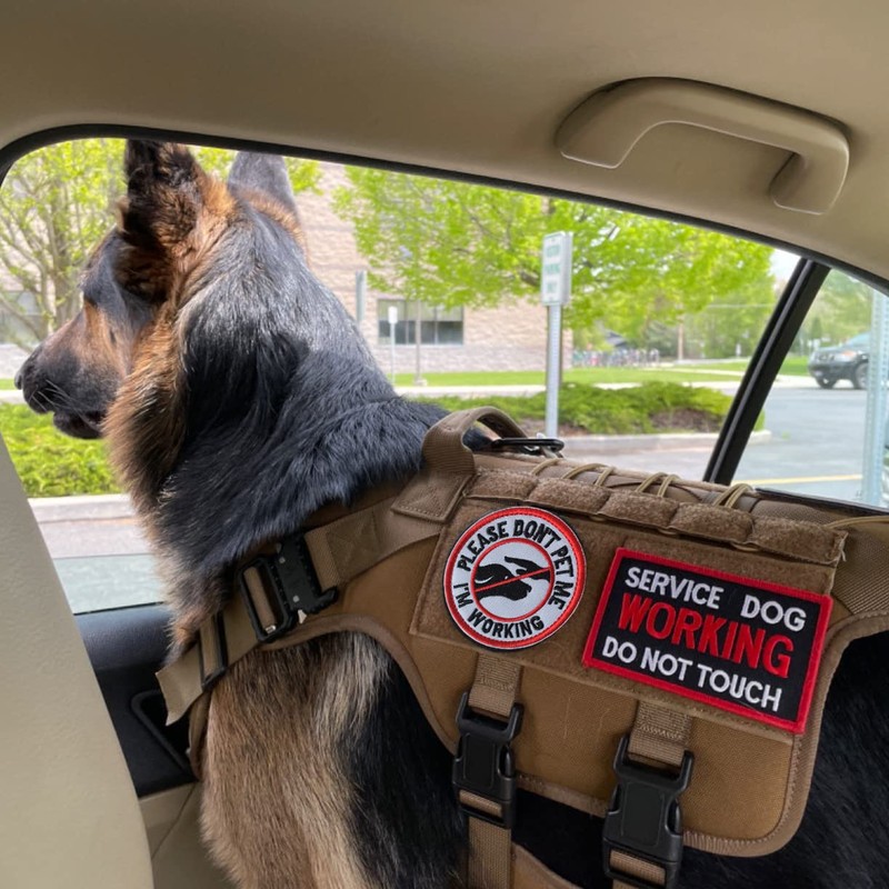 J.CARP 2 Pieces PTSD Service Dog Do Not Distract Patch,