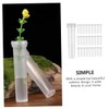 Mipcase 100Pcs Transparent Plant Vases Flower Tubes for Desktop Terrarium