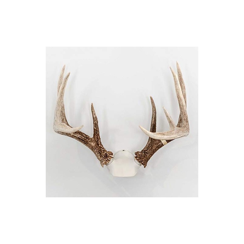 Bone Collector The Change Up Antler Mounting Kit with Skull