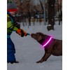 Weesiber Light Up Dog Collar, USB Rechargeable LED Dog Collar