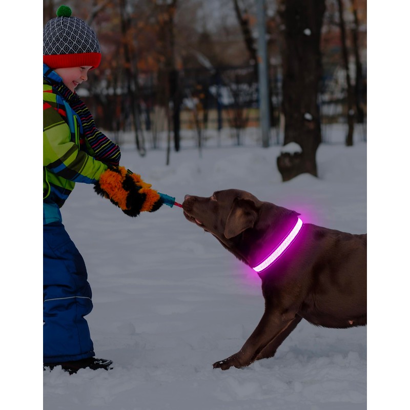 Weesiber Light Up Dog Collar, USB Rechargeable LED Dog Collar