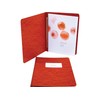 ACC25079 - Acco Presstex Report Cover