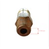 678169004 Thermal Relief Release Valve for Pressure Washer