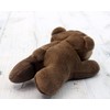 takeoff pokepuni brown bear