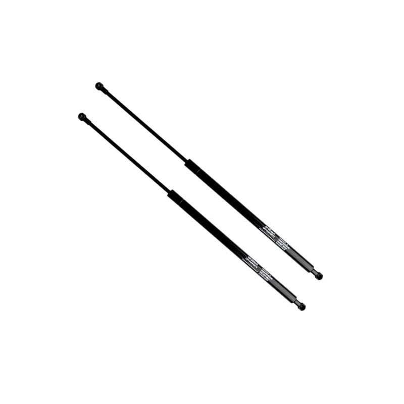 SPODALG Qty (2) Rear Trunk Lid Lift Supports Shocks Struts