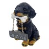 Treasure Co Trio Rottweiler Welcome Statue 6 in Resin Guard