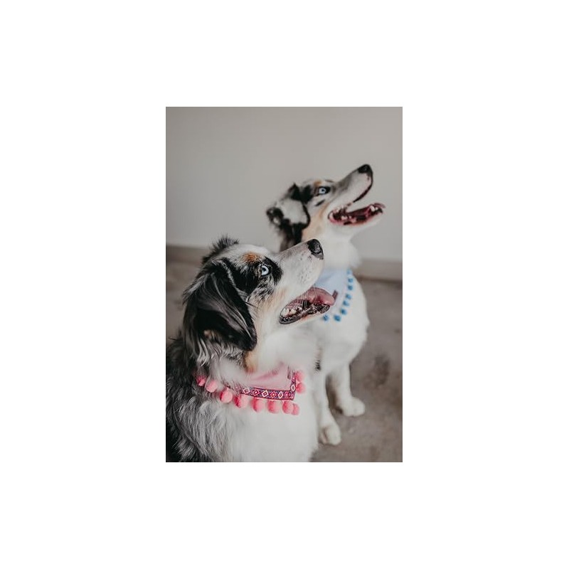 Bandana con Pompon XUXO, Elegante Accesorio para tu Mascota, Estilo