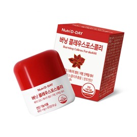 뉴트리디데이 버닝 콜레우스 포스콜리, 30정, 2개 NutriDay Burning Coleus Forskohlii, 30 Tablets, 2 Packs
