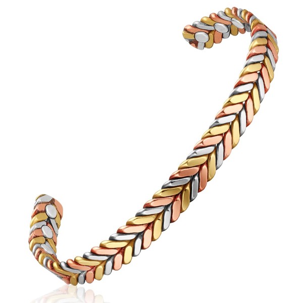 Vicmag 6 x Copper Magnets for Women (Tri-Color Feather)