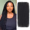 Afro Kinkys Bulk Human Hair, 22 inch 50 Gram 4c