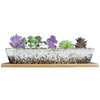 ARTKETTY Succulent Pots, 9.8 Inch Ceramic Succulent Planters with Drainage