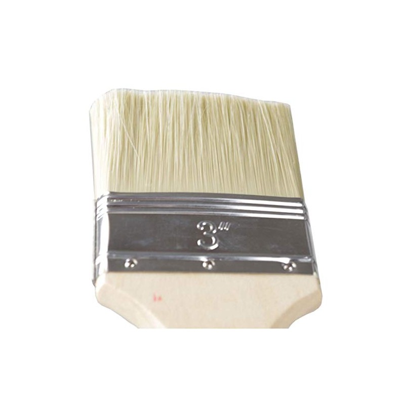 Color Expert 81267510 Professional Quality Paint Brush with Varnished Wooden