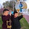 Monocular Telescope High Power 10x30 Monoculars for Adults Kids BAK4