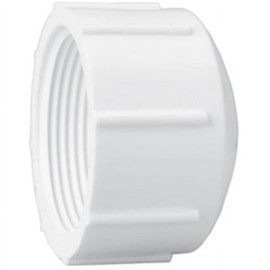 LASCO FITTINGS INC 448-015 1-1/2" FIPT CAP