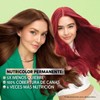 Tinte para cabello Garnier Nutrisse 40 moca