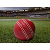 Cricket rubber soft balls for practice (set of 3)