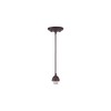 Westinghouse Lighting 70285, Oil Rubbed Bronze BRZ Mini Pendant Kit,