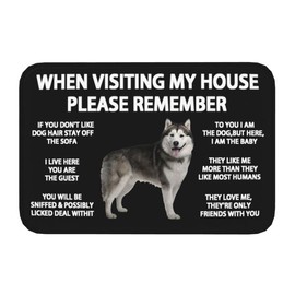 When Visiting My House Please Remember Siberian Husky Indoor Doormat Durable Welcome Front Door Mats Entryway Rugs Non-Slip Absorbent Area Rugs Resist Dirt Carpet for Room Decor 16*24in/40*60cm