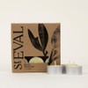St Eval Bay & Rosemary Scented Tealights | Earthy Herbal