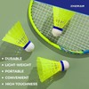 ZHENAN Badminton Birdies,12 Pack Nylon Badminton Shuttlecocks-Hight Speed Batting Training