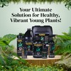 Clonex Clone Solution, Professional-Grade Nutrient Formula for Seedlings, Cuttings, and