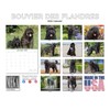 2024 2025 Bouvier Des Flandres Calendar - Dog Breed Monthly