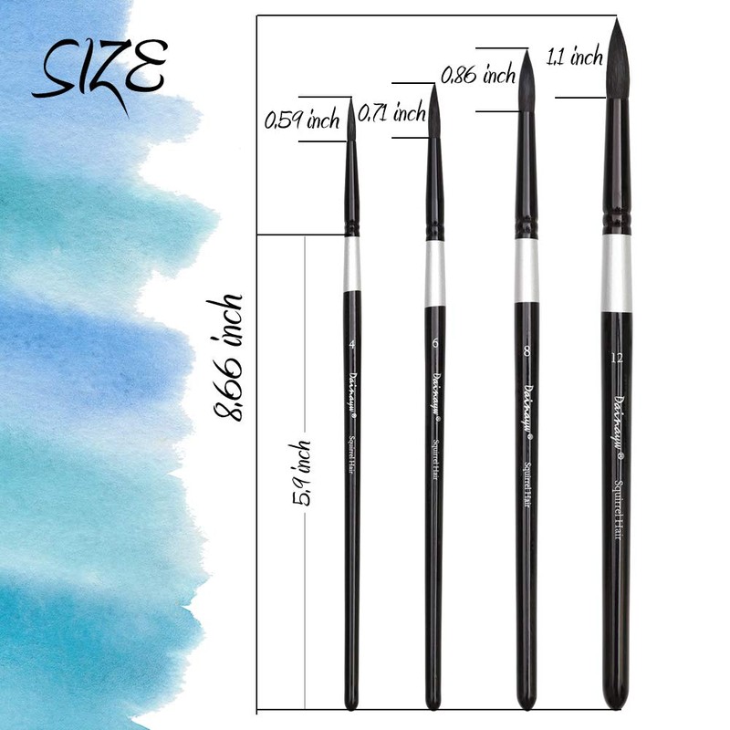 Dainayw Round Watercolor Paint Brushes 4Pcs Squirrel Hair Professional Brush