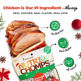 NutriChomps Dog Chews, 6 inch Candy Canes, Mint Flavor, 12 Count, Easy to Digest, Rawhide Free, Holiday Stocking Stuffer Treats for Dogs