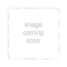 SAN V12 HP 844 SAN V12 HP 844 Frost Orange Balst,( 2 lbs, 5.5 Ounces) Tub