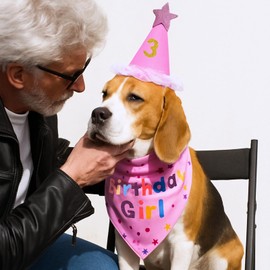 Pack of 3 Neckerchiefs for Dogs, Cats Birthday, Pink, Star Party Hats for Small, Medium, Large Dogs and Cuddly Toys