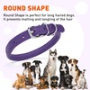 Dogline Soft and Padded Rolled Round Leather Collar for Dogs