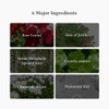 Dr.Althea [Dr.Althea]Oasis Soothing Mask (5ea)