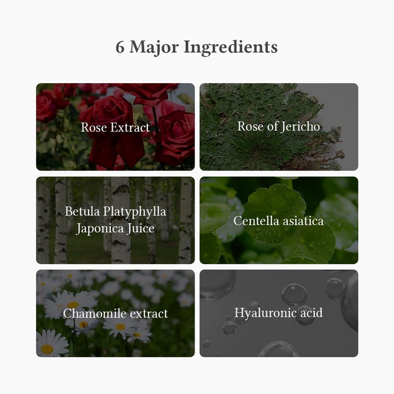 Dr.Althea [Dr.Althea]Oasis Soothing Mask (5ea)