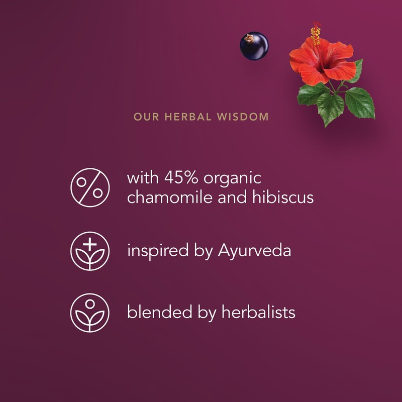 Pukka Organic Night Time Berry Herbal Tea with Chamomile, Echinacea,