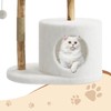 Modern Real Wood Cat Tree Tower for Large Cats |