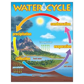 Trend The Water Cycle Learning Chart, Classroom Decor, 17" x 22"