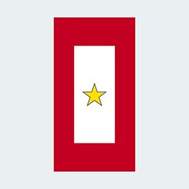 fagraphix Gold Star Service Banner Sticker Self Adhesive Vinyl Decal gave All Family Member Service Flag