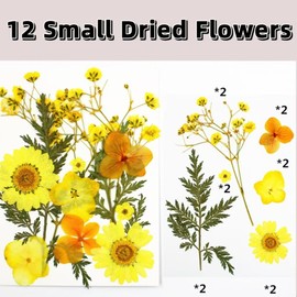 Generic Dried Flower Bookmarks Kit,40PCS Transparent Dried Pressed Flower Bookmarks and 12PCS Small Dried Flowers,Beautiful Dried Flower Bookmark Set for DIY Handmade (40PCS*12PCS)