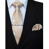 JEMYGINS Men's Stylish & Elegant Paisley Tie and Pocket Square
