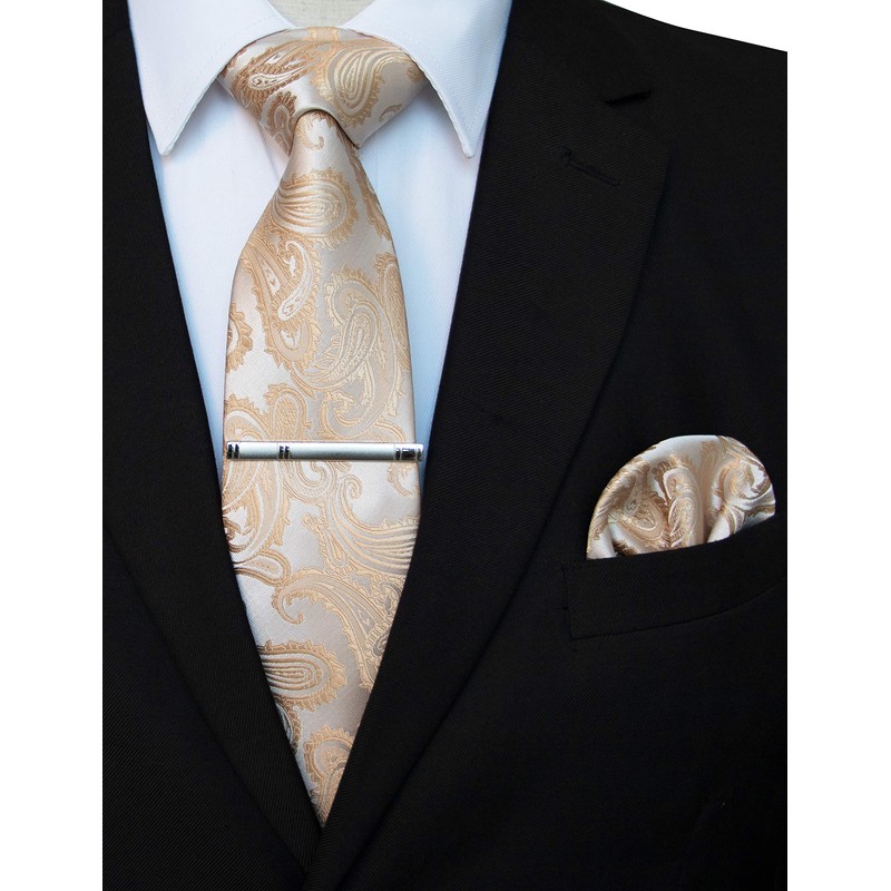 JEMYGINS Men's Stylish & Elegant Paisley Tie and Pocket Square