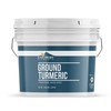 Earthborn Elements Ground Turmeric 1 Gallon Bucket, Aromatic, Bulk Size
