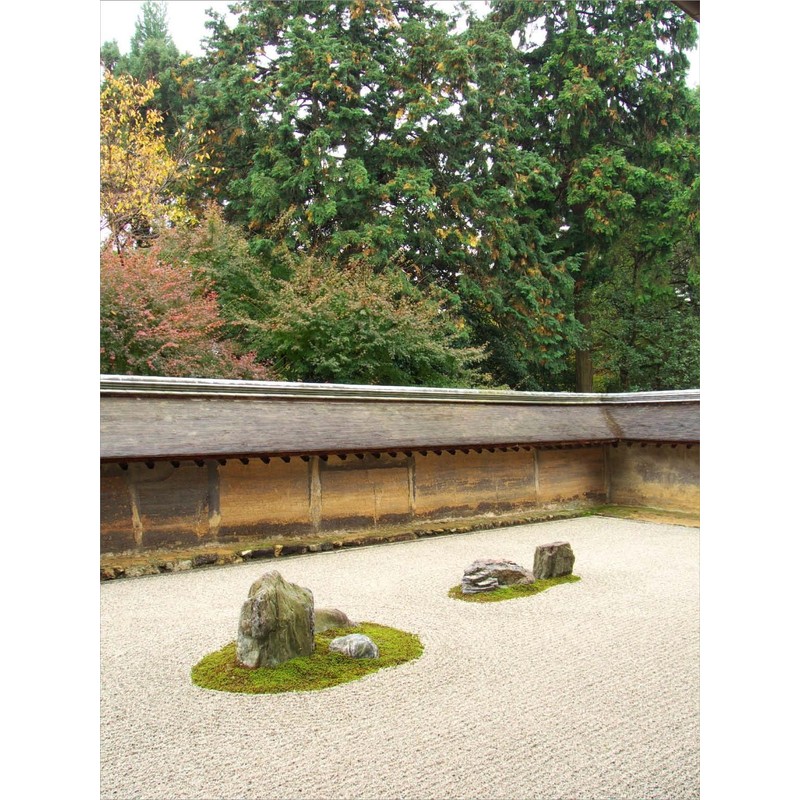 cekitay is grass Tea Cup Pea tse005ow