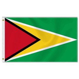 Large Guyana Flag,3x5 FT Guyanese 75D Outdoor Banner,Guyanan Decor for Garden Yard Car Truck with Brass Grommet