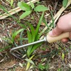 Ieron 2 Pcs Hand Weed Remover Tool Garden Manual Weed