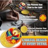 Phoenix of Light Sobriety Coin, Phoenix NA Coin, Addiction Recovery