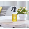 MRS. MEYER'S CLEAN DAY Room and Air Freshener Spray, Non-Aerosol